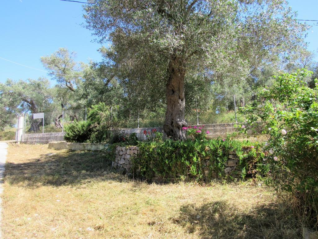 Villa Clementine Gaios Bagian luar foto