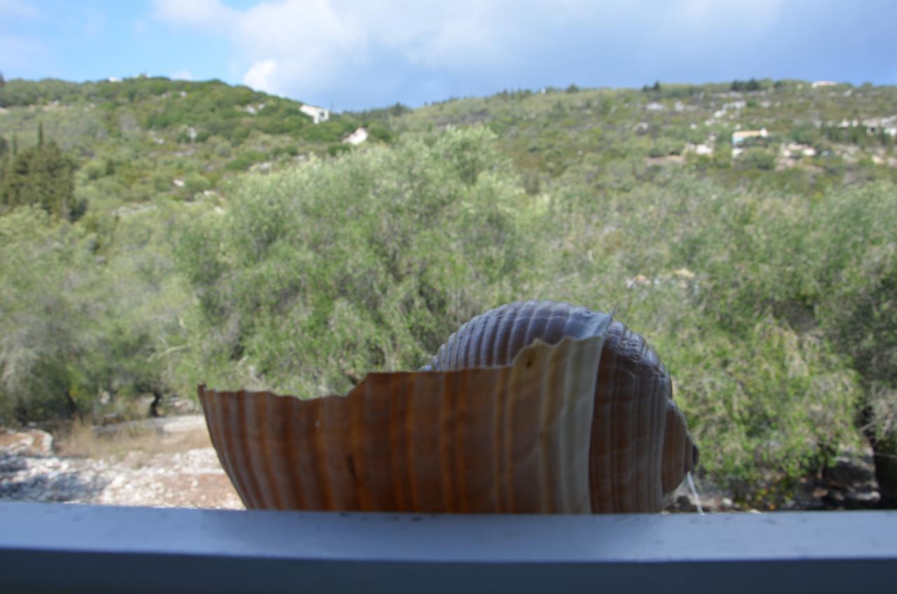 Villa Clementine Gaios Bagian luar foto